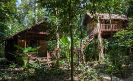 Khao Sok Nationalpark mit Übernachtung im Baumhaus in Südthailand