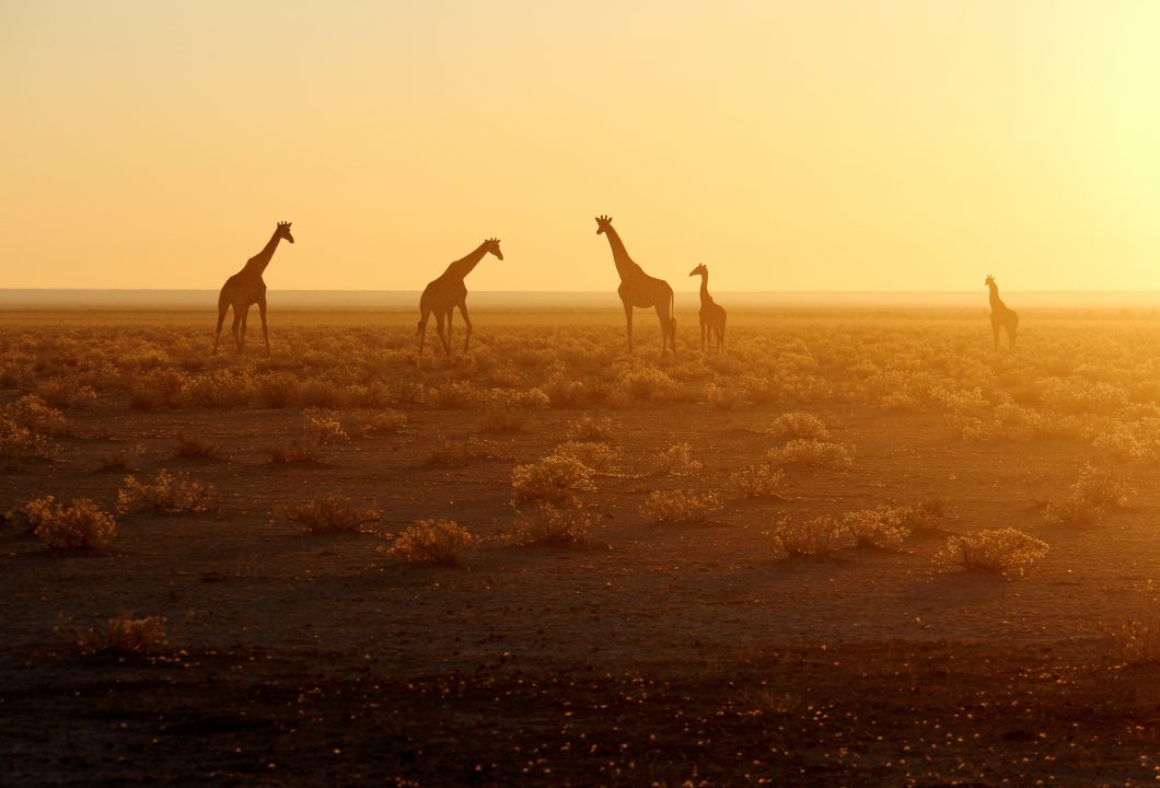 Etosha Nationalpark
